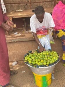 Noix de karité : Un fruit très répandu à Bamako