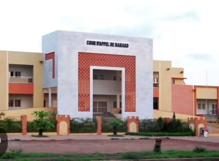Mali – Recours contre la dissolution des partis politiques : Un procès sous tension à nouveau renvoyé