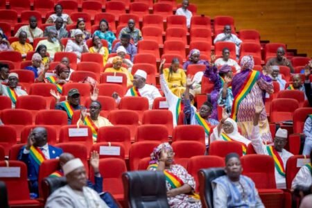 Sans Tabou: CNT, les Maliens ont-ils été encore floués… ?
