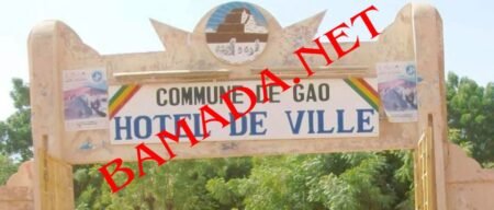 LE SNEC de Gao a organisé une conférence pédagogique