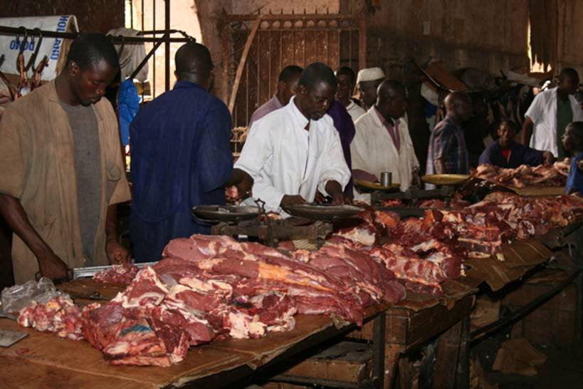 Modibo Diarra, président syndicat des bouchers de la Rive droite / « L’exportation tue notre secteur » Modibo Diarra, président syndicat des bouchers de la Rive droite / « L’exportation tue notre secteur »